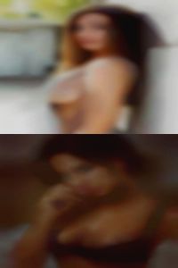 Sex partners villages looking for bulls FL.